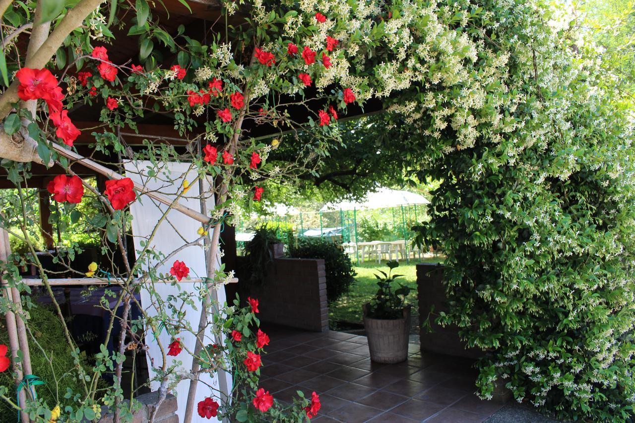Hotel da elio Piegaro  Esterno foto